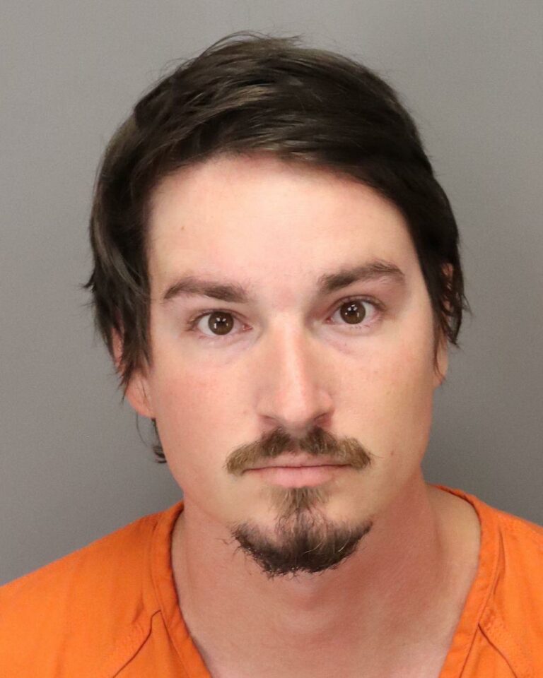 Sexual battery charges added to the child pornography case against a Palm Harbor man