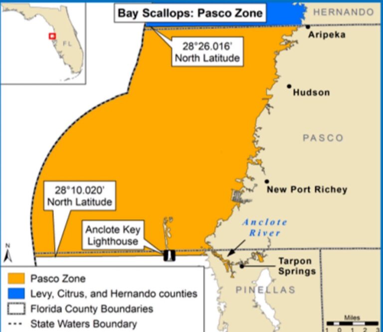 Reopening of Pasco Zone for 2024 Regional Bay Scallop Season