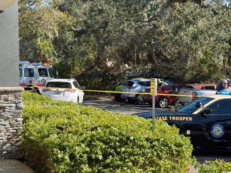 Pedestrian Fatally Struck by Vehicle in Palm Harbor Parking Lot