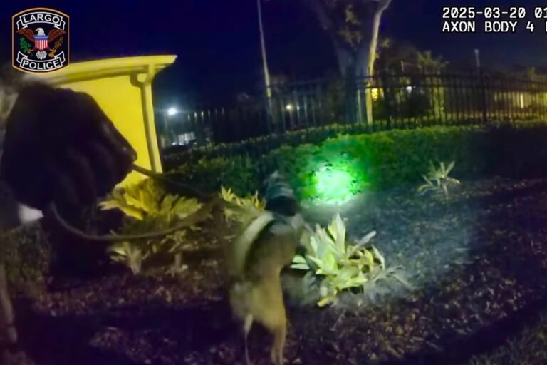 Driver Arrested after K9 located him following a DUI crash on US-19 in Largo