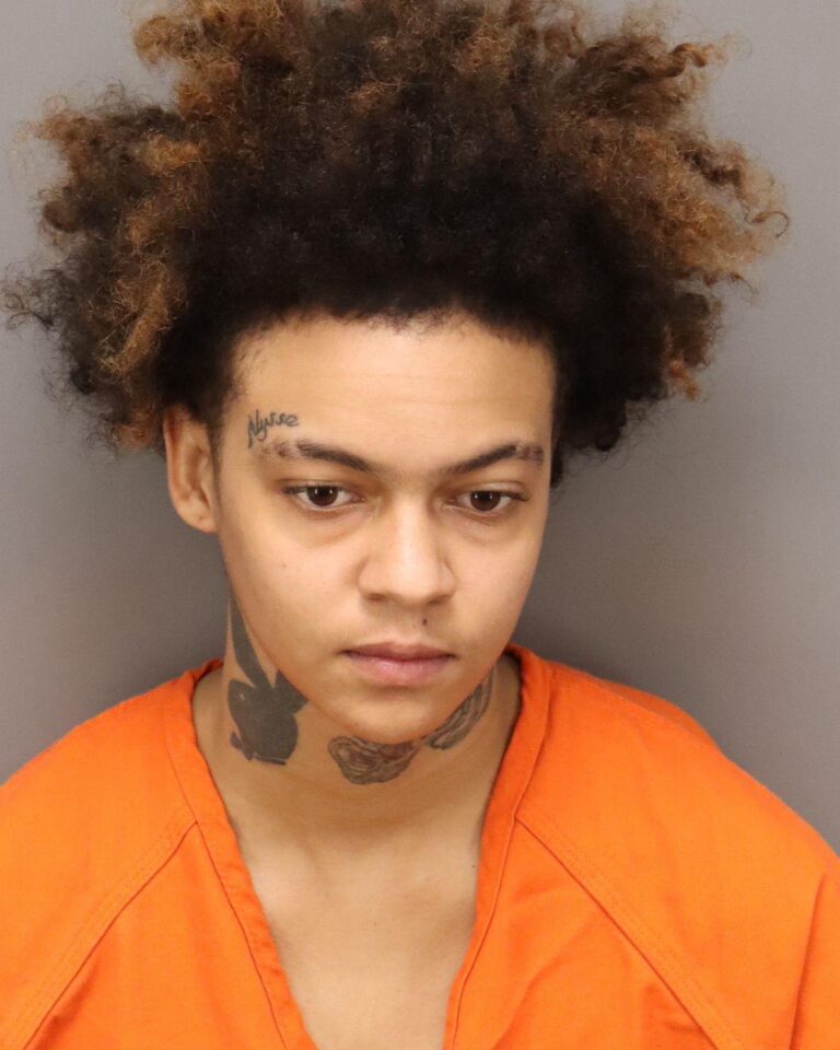 Clearwater Woman Arrested for Animal Cruelty After Violent Incident Involving Puppy