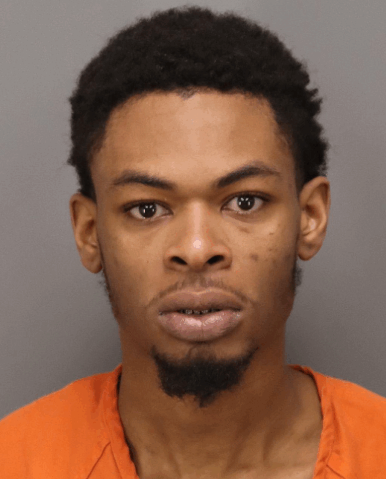 Shooting Stems from Domestic Dispute in Pinellas Park; Two Arrested, One Suspect Remains at Large