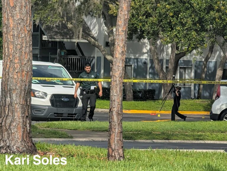 Palm Harbor Man Arrested for First-Degree Murder After Fatal Shooting