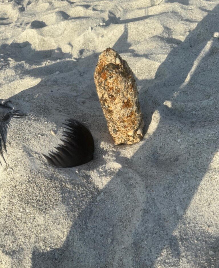 Pinellas Deputies investigate a Possible Explosive Device on the Beach