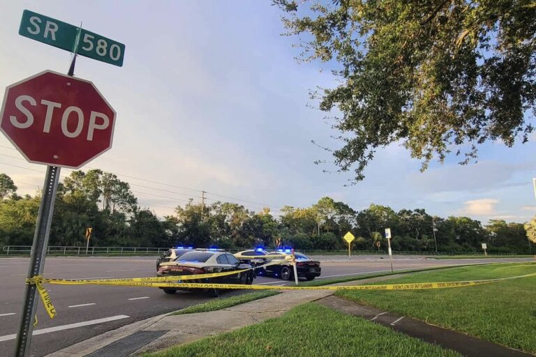 Motorcyclist Killed in Crash on SR-580