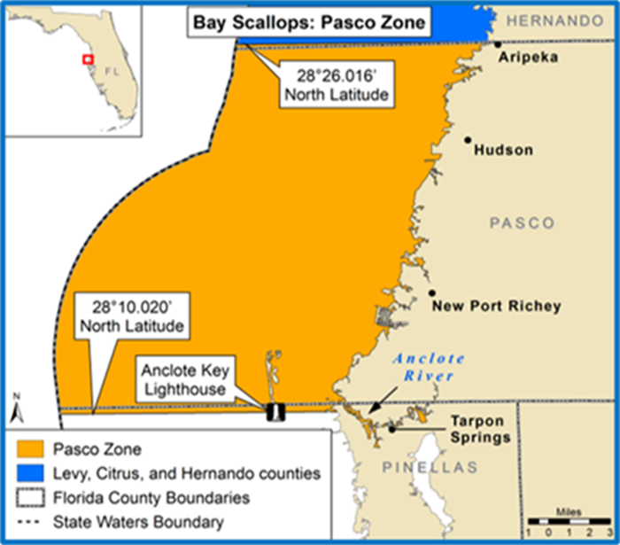 Temporary closure of Pasco Zone for 2025 regional bay scallop season 