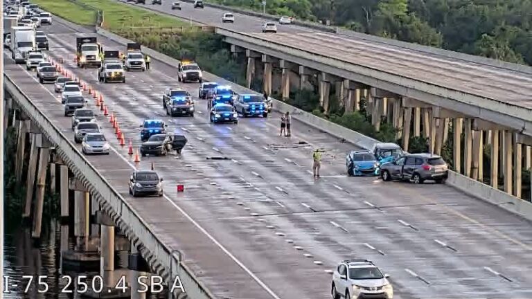 Driver Killed After Being Struck and Thrown From I-75 Bridge Into Alafia River
