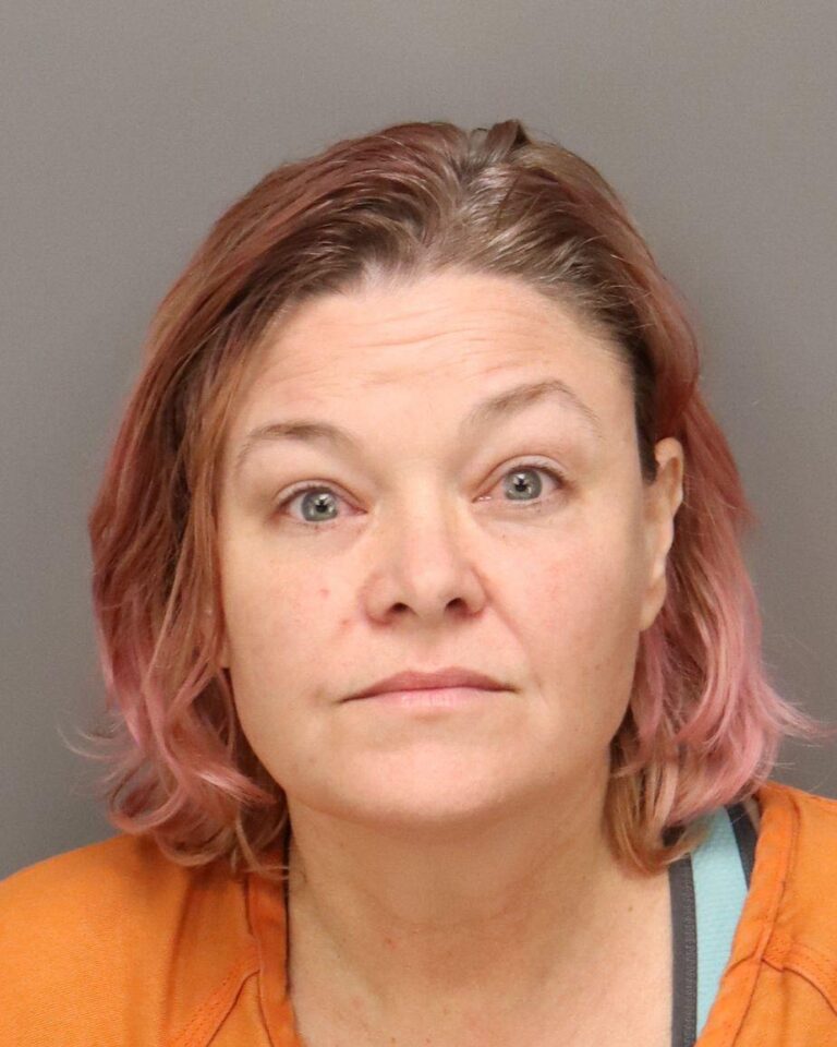 St. Petersburg Woman Arrested for Disorderly Conduct While Dressed in Hot Dog Costume