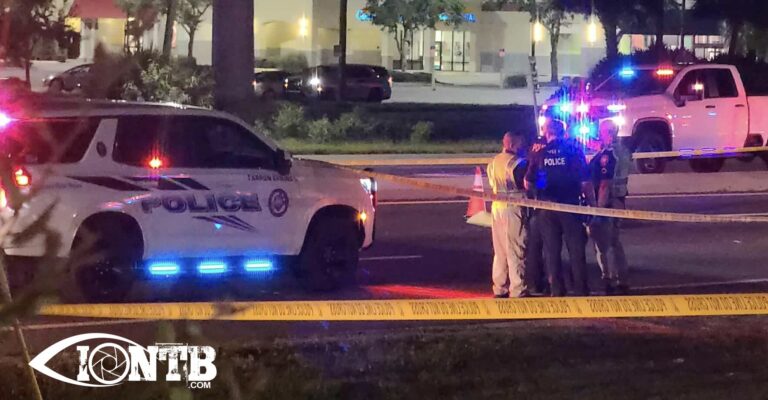 Tarpon Springs Police Investigating Fatal Pedestrian Crash on US-19