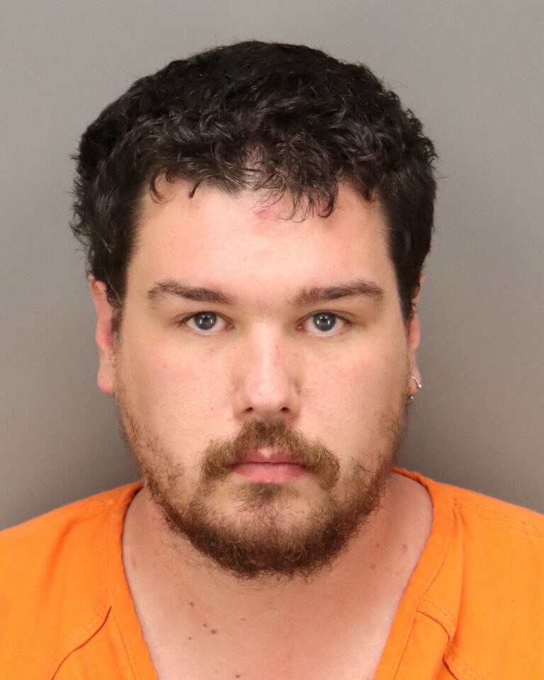 St. Petersburg Man Arrested for Possession And Transmission of Child Pornography