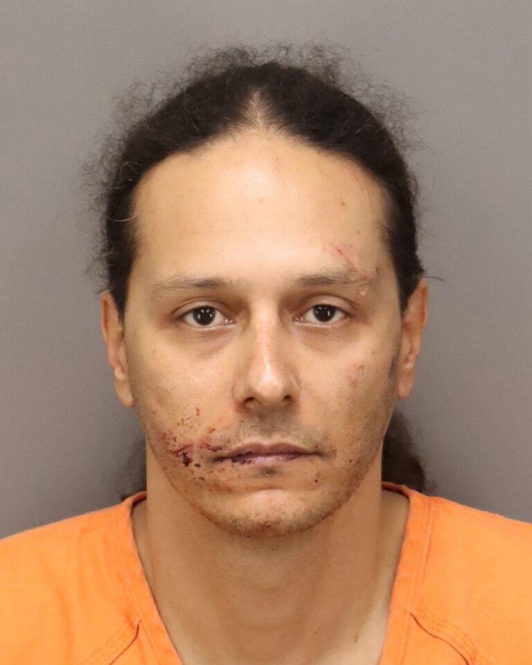 Pinellas Deputies Arrest Man After Stabbing at Rally Gas Station