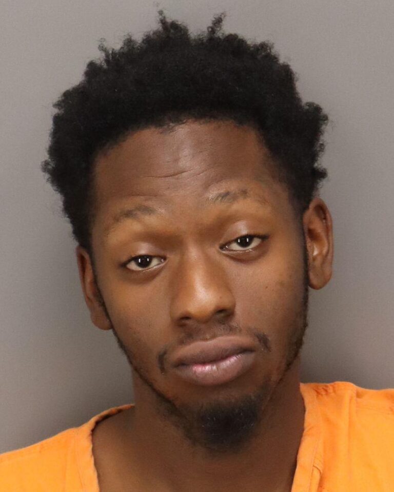 Deputies Arrest Man After Footage Shows Dog Being Choked and Dragged in St. Petersburg