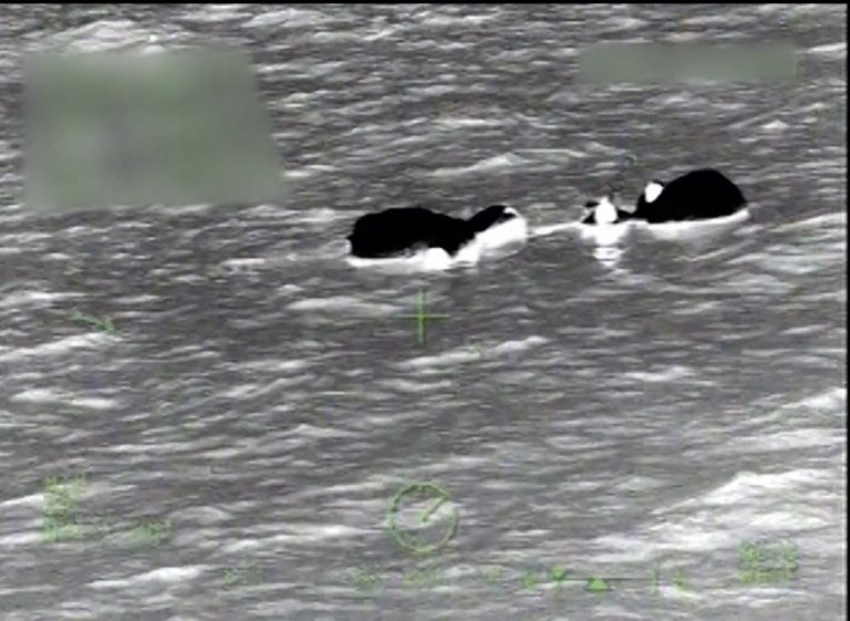 Coast Guard rescues 5 people off Egmont Key