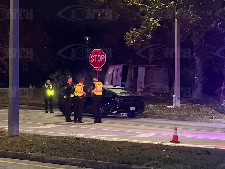 Pinellas Park Police Investigating Fatal Hit-and-Run Crash