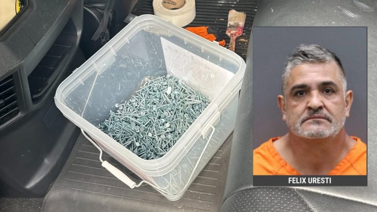 Deputies Arrest Valrico Man Linked to Repeated Roadway Nail Damage