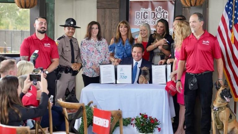 January 1st: New Florida Law Added Animal-Cruelty Database