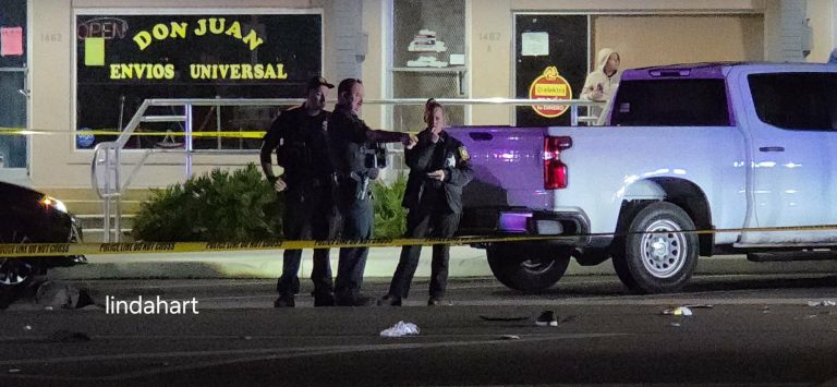 Pedestrian Dies After Hit-and-Run Crash on Gulf-to-Bay Boulevard in Clearwater