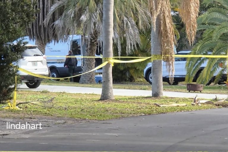 Woman Airlifted After Deputy-Involved Shooting in Clearwater; No Deputies Injured