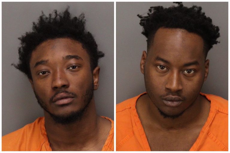 Attempted Homicide Arrest in St. Petersburg