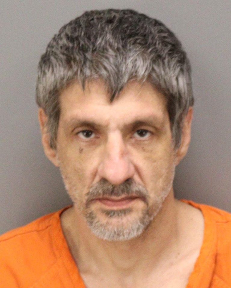 Clearwater Man Arrested on 20 Counts of Possession of Child Pornography