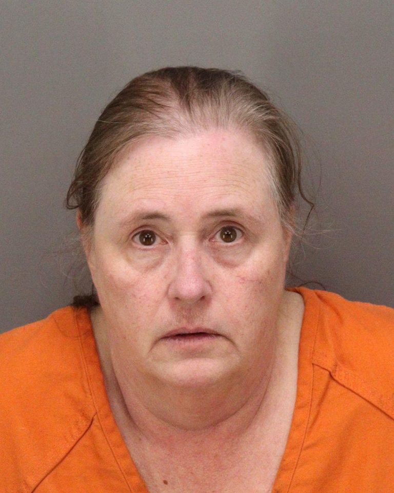 Pinellas Park Police Arrest Mother on Attempted Murder Charge After Stabbing