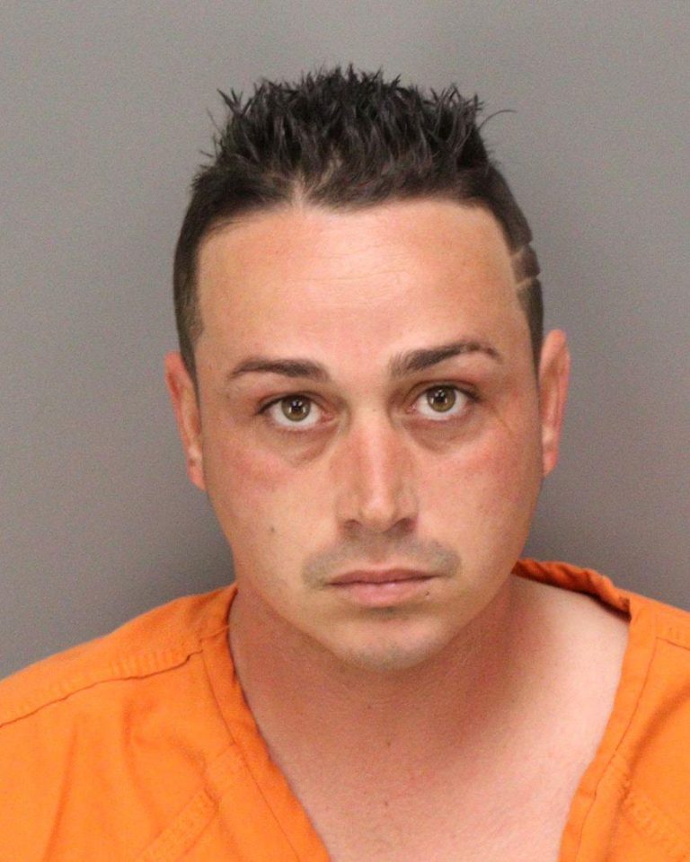 St. Petersburg Man Arrested for Possession and Transmission of Child Pornography