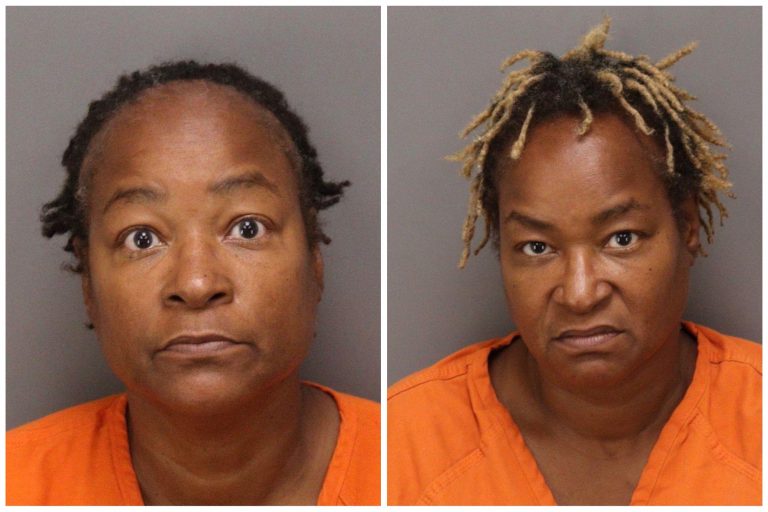 Pinellas: Two Women Charged After Dog Thrown From an SUV and Severely Injured