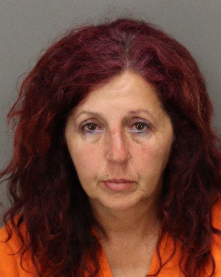 Deputies: Largo Woman Charged After Animals Found in Poor Conditions, Dog Tied to Live Open Wire