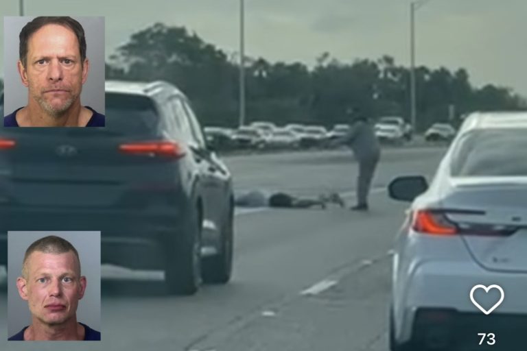 Road Rage Incident on I-275 Near Skyway Results in Two Arrests