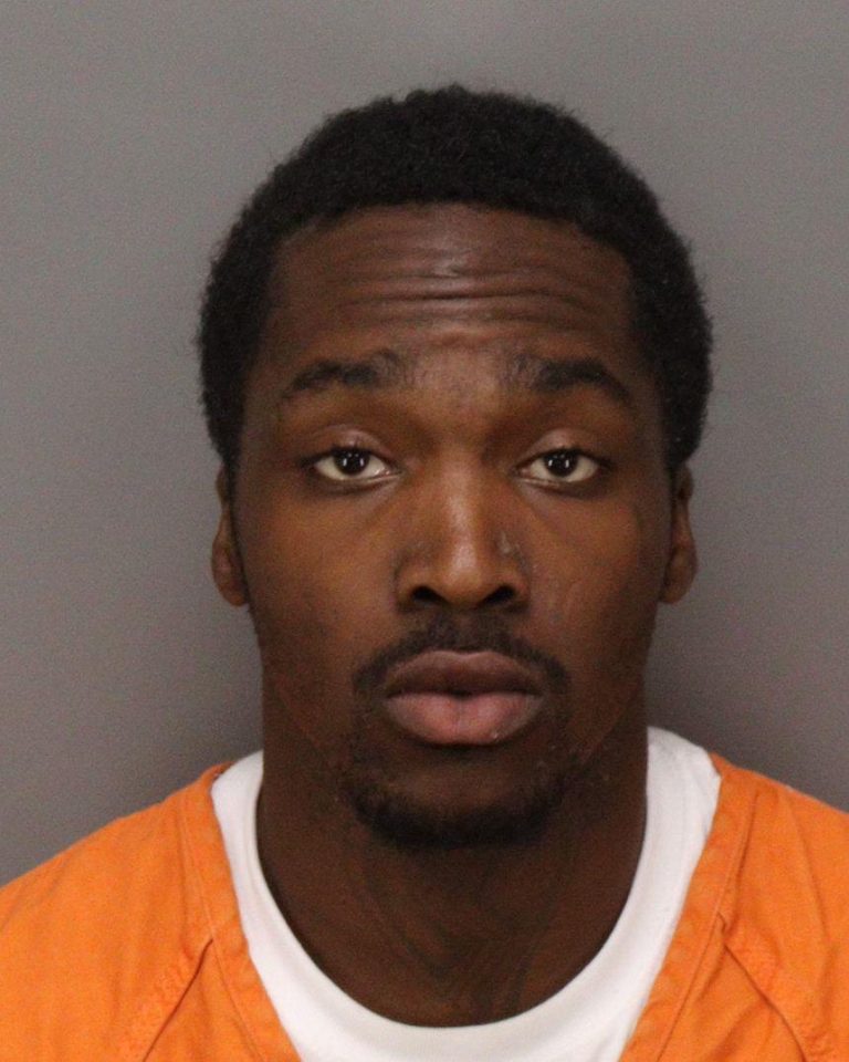 St. Petersburg Man Arrested After Stolen Vehicle Crash, Attempted Escape and Multiple Charges