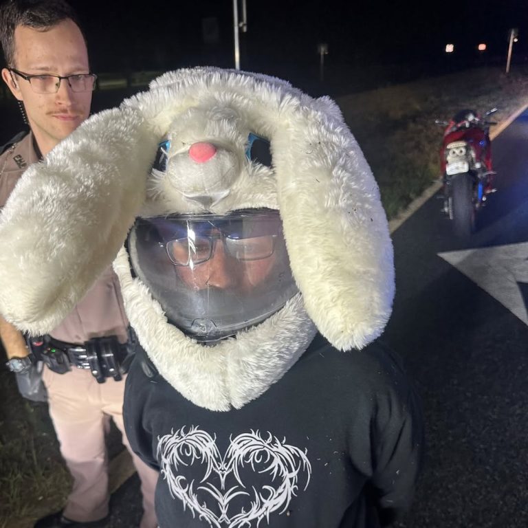 Motorcyclist Arrested After High-Speed Chase Reaching 120 MPH on U.S. 19