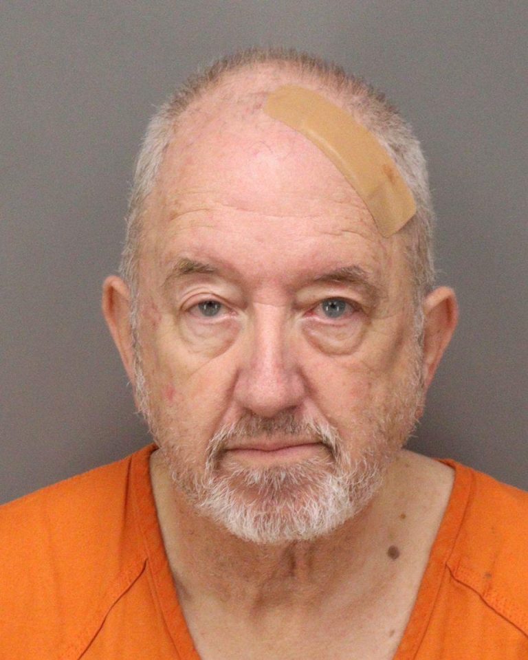 Safety Harbor Man Arrested on Child Pornography Charges, Deputies Say