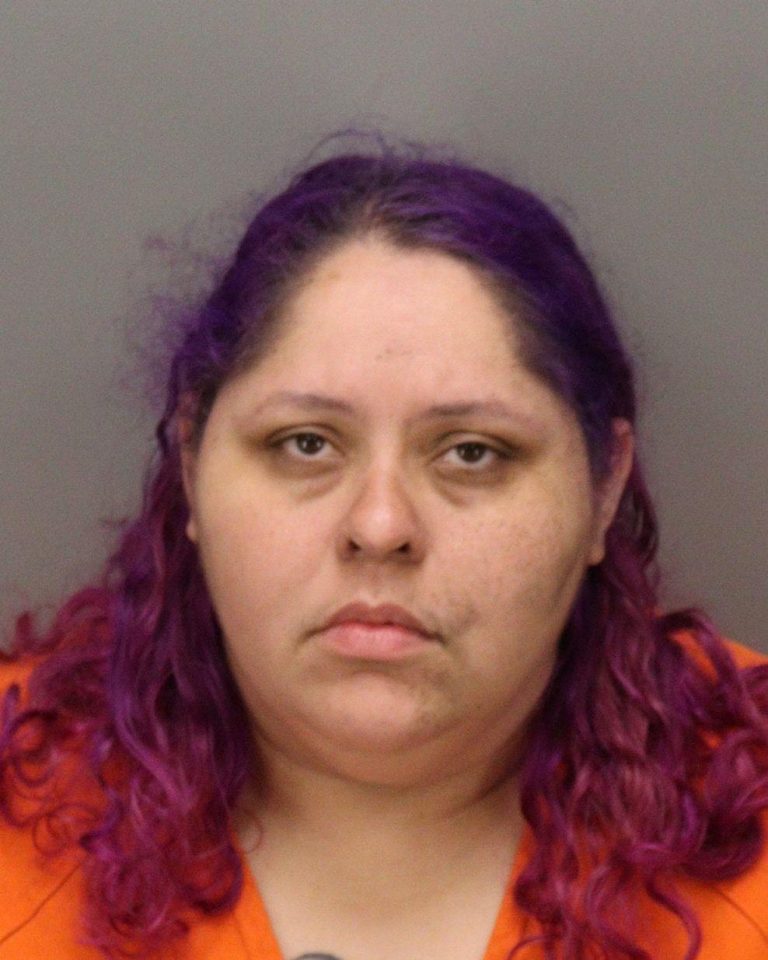 Woman Accused of Setting Gulfport Residence on Fire, Damaging Victim’s Vehicle and Biting Officer During Arrest