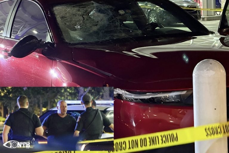 Driver Admitted Fleeing Fatal Seminole Boulevard Crash Because He Feared DUI Arrest, Affidavit Says