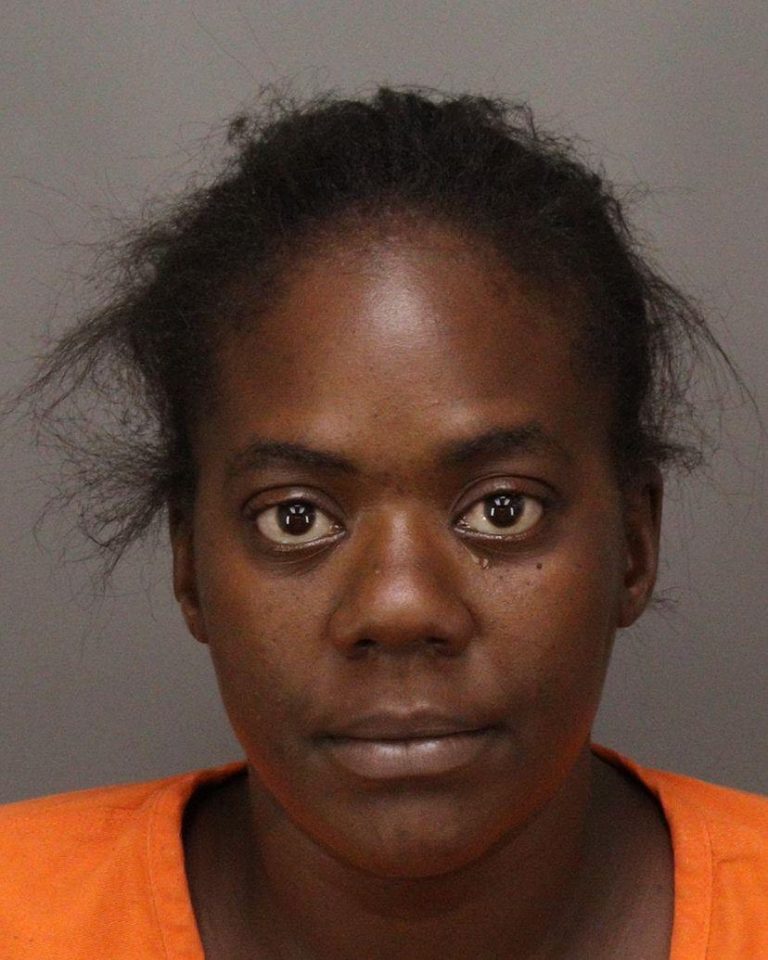 St. Petersburg Woman Accused of Stealing More Than $72,000 in Cigarettes from Pinellas Park Circle K