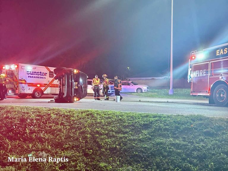 Woman Accused of DUI With Toddler in Vehicle After Rollover Crash in Palm Harbor