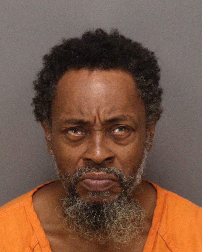 Man Arrested on Attempted Second-Degree Murder Charge After Brutal Attack in St. Petersburg Park