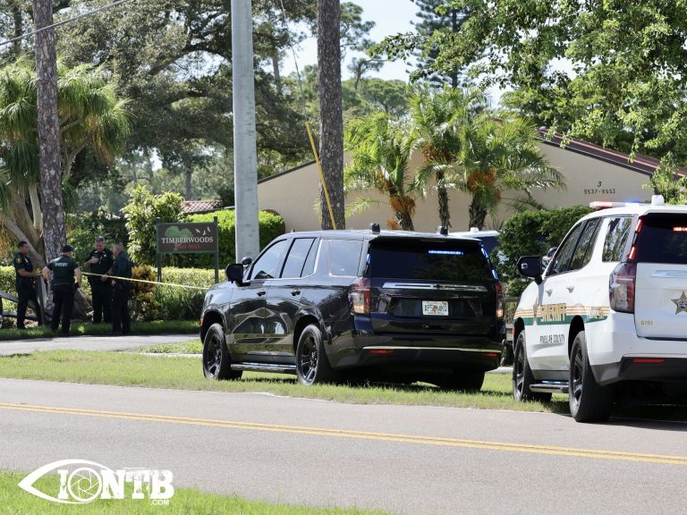 Woman Dies Following Domestic-Related Incident in Seminole