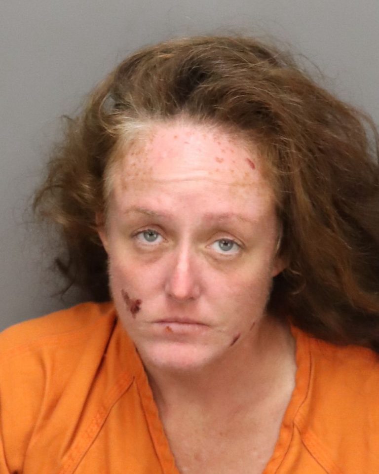 Woman Charged With Attempted Murder After Allegedly Setting Stranger on Fire at St. Petersburg Gas Station
