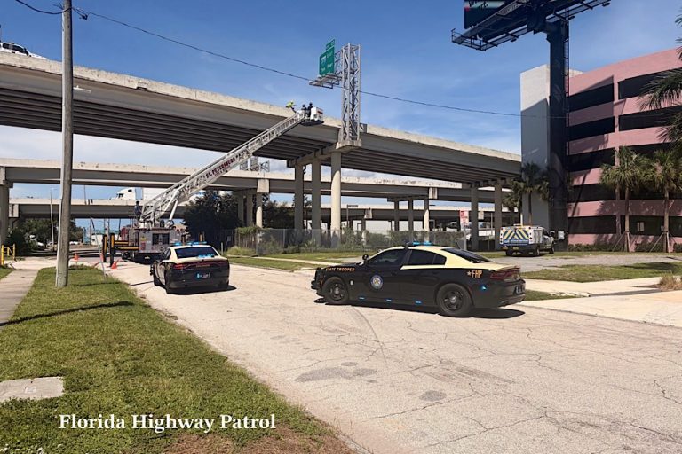Kitten Survives 55-Foot Fall During Rescue Along I-275 in St. Petersburg
