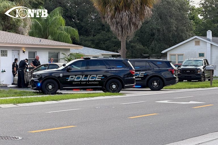Largo Woman Faces Felony Theft Charge After Police Say She Stole $12 in Cakes From Sprouts