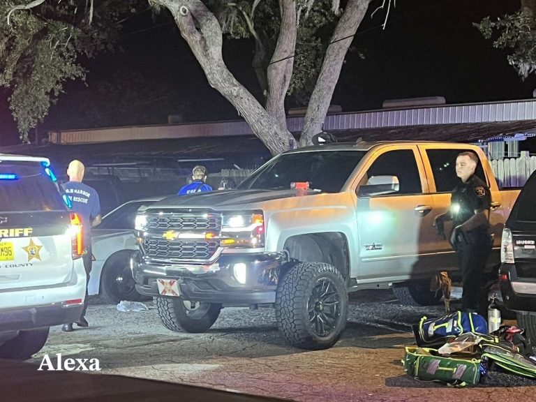 Pasco Deputy Dies by Suicide Following Altercation in Palm Harbor